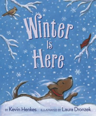 Книга Winter Is Here HENKES  KEVIN