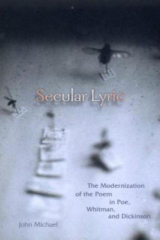 Kniha Secular Lyric John Michael