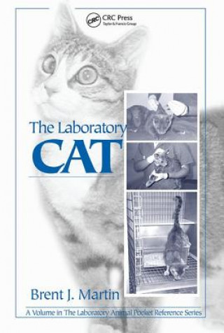 Carte Laboratory Cat Martin