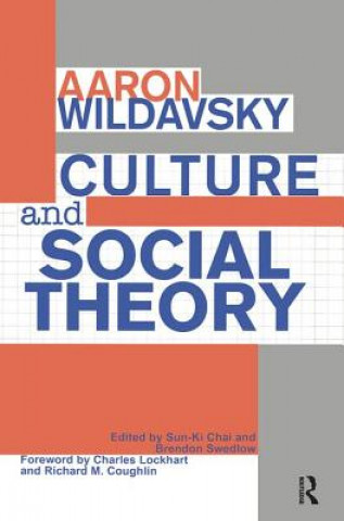 Kniha Culture and Social Theory WILDAVSKY