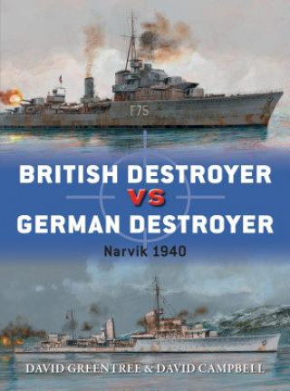 Carte British Destroyer vs German Destroyer GREENTREE DAVID