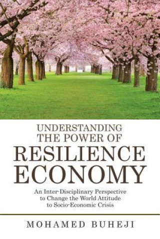 Kniha Understanding the Power of Resilience Economy MOHAMED BUHEJI