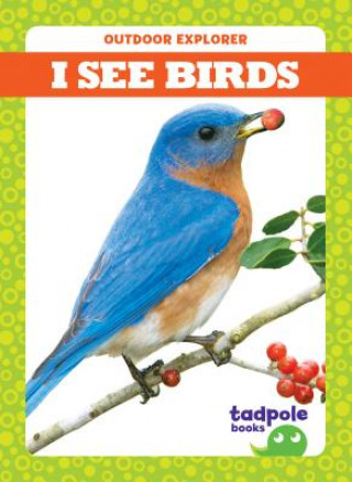Könyv I See Birds Tim Mayerling