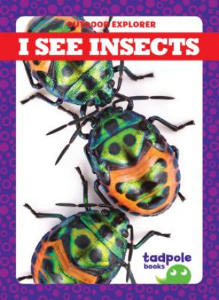 Carte I See Insects Tim Mayerling