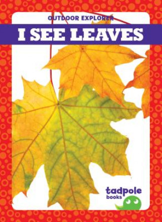 Carte I See Leaves Tim Mayerling