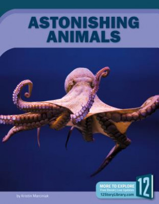 Kniha Astonishing Animals Kristin Marciniak