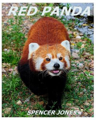 Könyv Red Panda: Learn About Red Pandas-Amazing Pictures & Fun Facts Spencer Jones