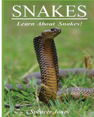 Könyv Snakes: Fun Facts & Amazing Pictures - Learn About Snakes Spencer Jones