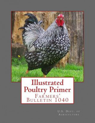 Carte Illustrated Poultry Primer: Farmers' Bulletin 1040 U S Dept of Agriculture