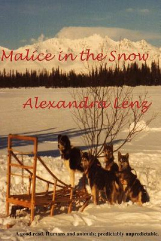 Kniha Malice in the Snow: - Alexandra Lenz