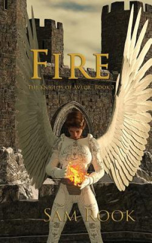 Book Fire Sam Rook