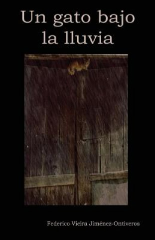 Buch Un gato bajo la lluvia Federico Vieira Jimenez-Ontiveros