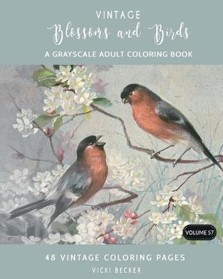 Knjiga Vintage Blossoms and Birds: A Grayscale Adult Coloring Book Vicki Becker