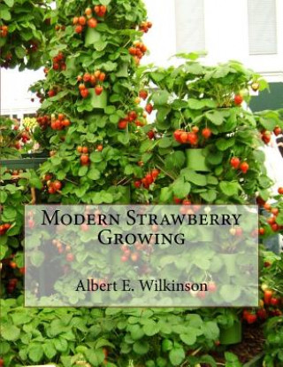 Kniha Modern Strawberry Growing Albert E Wilkinson