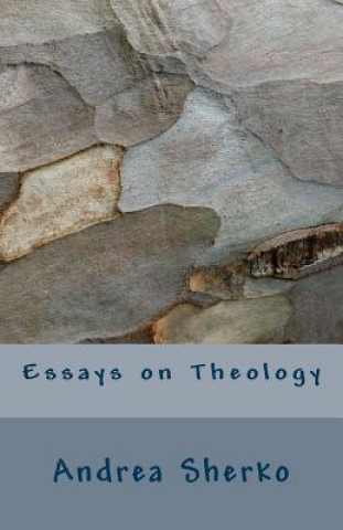 Kniha Essays on Theology Andrea Sherko