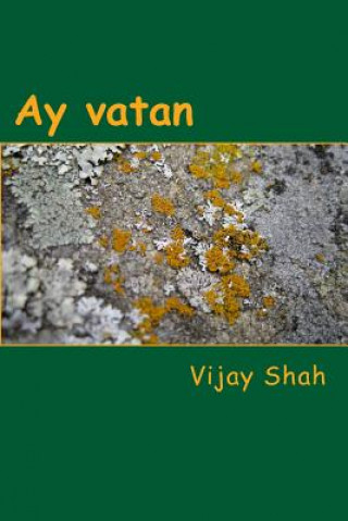 Boek Ay Vatan Vijay Shah