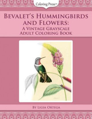 Kniha Bevalet's Hummingbirds and Flowers: A Vintage Grayscale Adult Coloring Book Ligia Ortega