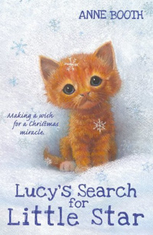 Kniha Lucy's Search for Little Star Anne Booth