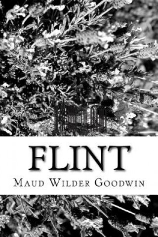 Kniha Flint Maud Wilder Goodwin