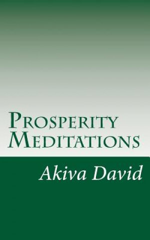 Knjiga Prosperity Meditations: An Inspirational Guide to Get Rich On-Demand Akiva David