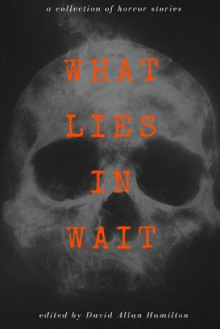 Könyv What Lies in Wait: A Collection of Short Horror Stories David Allan Hamilton