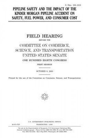 Kniha Pipeline safety and the impact of the Kinder Morgan pipeline accident on safety, fuel power, and consumer cost United States Congress