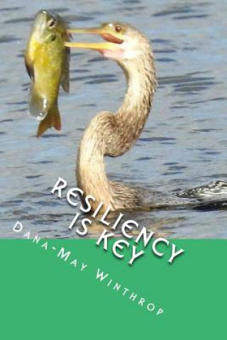 Könyv Resiliency is Key Dana-May Winthrop