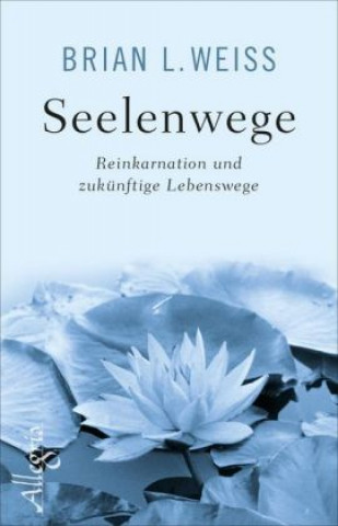 Kniha Seelenwege Brian L. Weiss