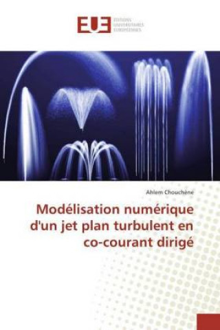 Carte Modélisation numérique d'un jet plan turbulent en co-courant dirigé Ahlem Chouchène