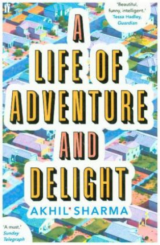 Könyv Life of Adventure and Delight Akhil Sharma