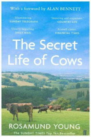 Kniha Secret Life of Cows Rosamund Young