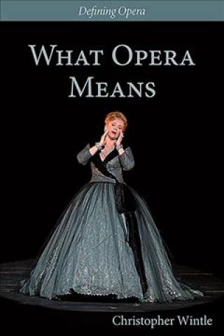 Книга What Opera Means Christopher Wintle