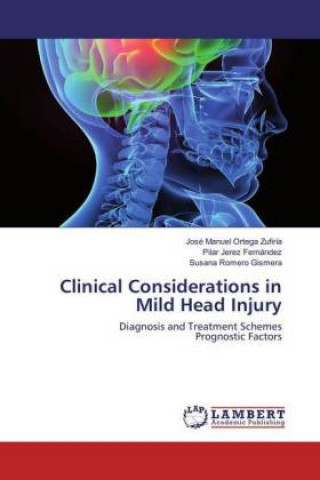 Książka Clinical Considerations in Mild Head Injury José Manuel Ortega Zufiría