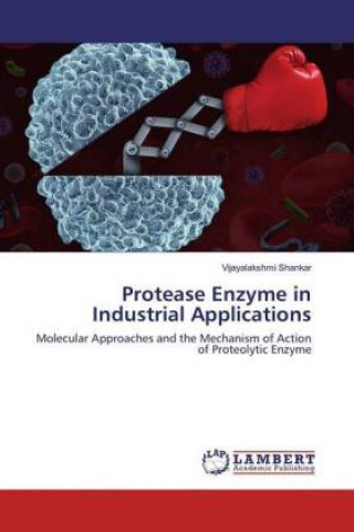 Könyv Protease Enzyme in Industrial Applications Vijayalakshmi Shankar