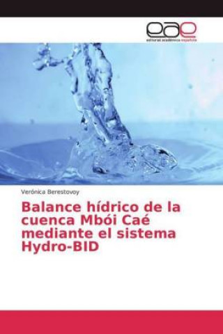 Książka Balance hidrico de la cuenca Mboi Cae mediante el sistema Hydro-BID Verónica Berestovoy