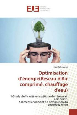 Kniha Optimisation d'énergie(Réseau d'Air comprimé, chauffage d'eau) Said Rahmoune