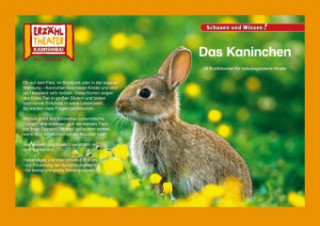 Könyv Kamishibai: Das Kaninchen 