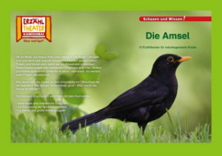 Knjiga Kamishibai: Die Amsel 