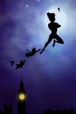 Könyv Peter Pan: (Peter and Wendy) Barrie J M