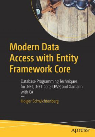 Kniha Modern Data Access with Entity Framework Core Holger Schwichtenberg