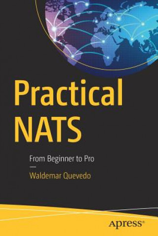 Buch Practical NATS Waldemar Quevedo