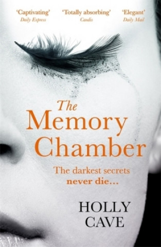 Book Memory Chamber Holly Cave