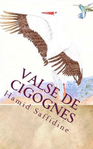 Könyv Valse Des Cigognes Hamid Saffidine