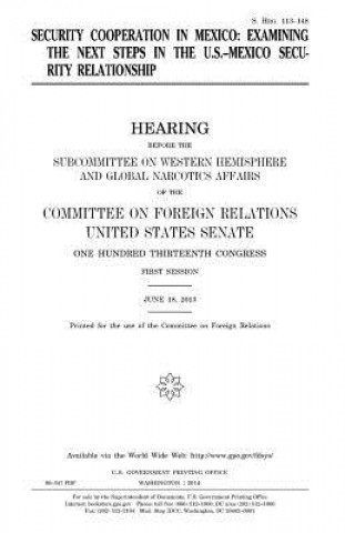 Kniha Security cooperation in Mexico: examining the next steps in the U.S.-Mexico security relationship United States Congress