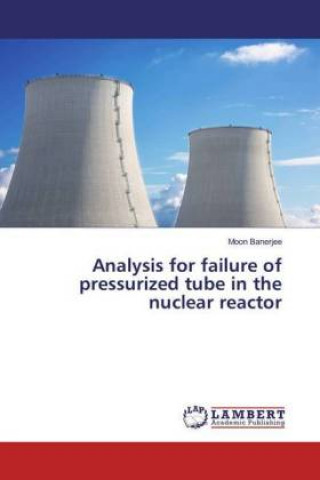 Książka Analysis for failure of pressurized tube in the nuclear reactor Moon Banerjee