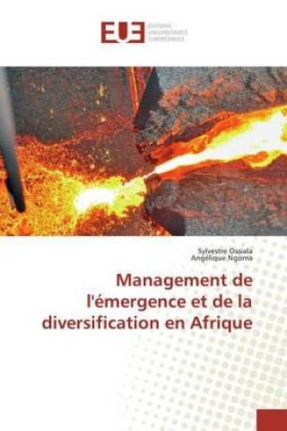 Kniha Management de l'émergence et de la diversification en Afrique Sylvestre Ossiala