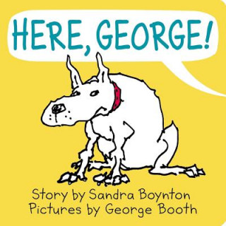 Book Here, George! Sandra Boynton