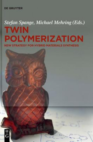 Книга Twin Polymerization Stefan Spange