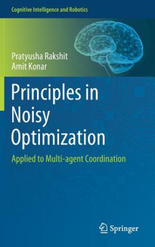 Könyv Principles in Noisy Optimization Pratyusha Rakshit