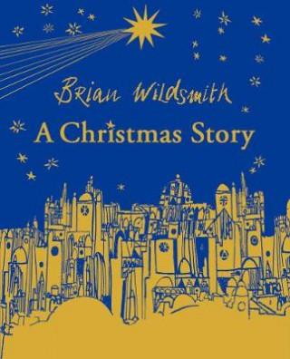 Livre Christmas Story Brian Wildsmith